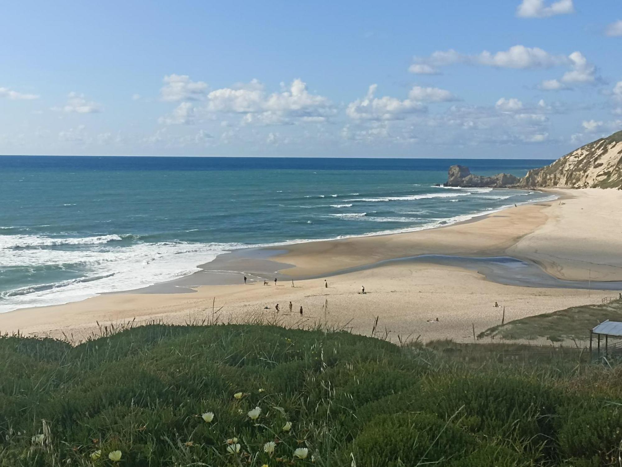 Tinyhouse Tilda - Near Famous Beaches Pataias Exterior foto
