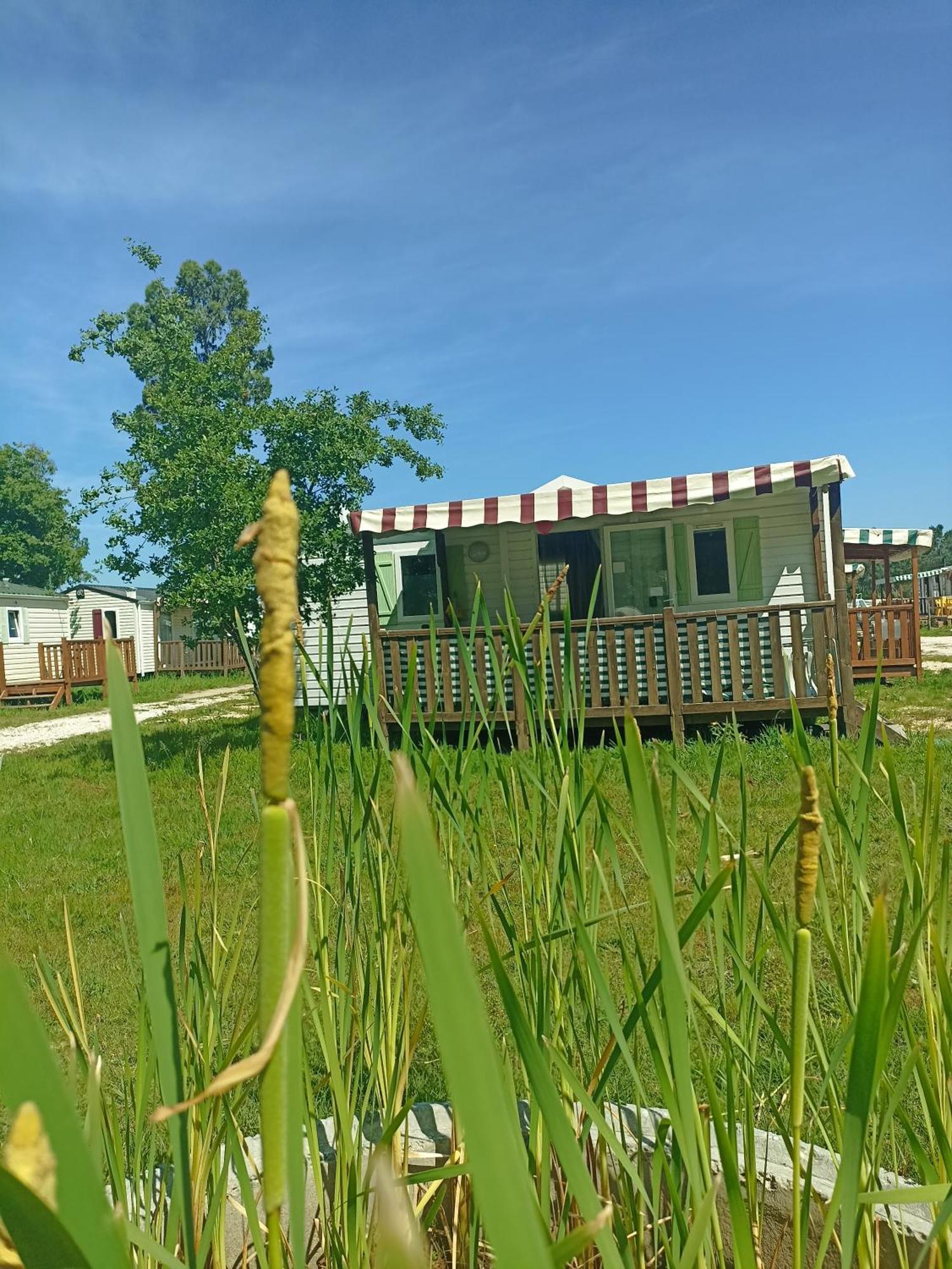 Tinyhouse Tilda - Near Famous Beaches Pataias Exterior foto